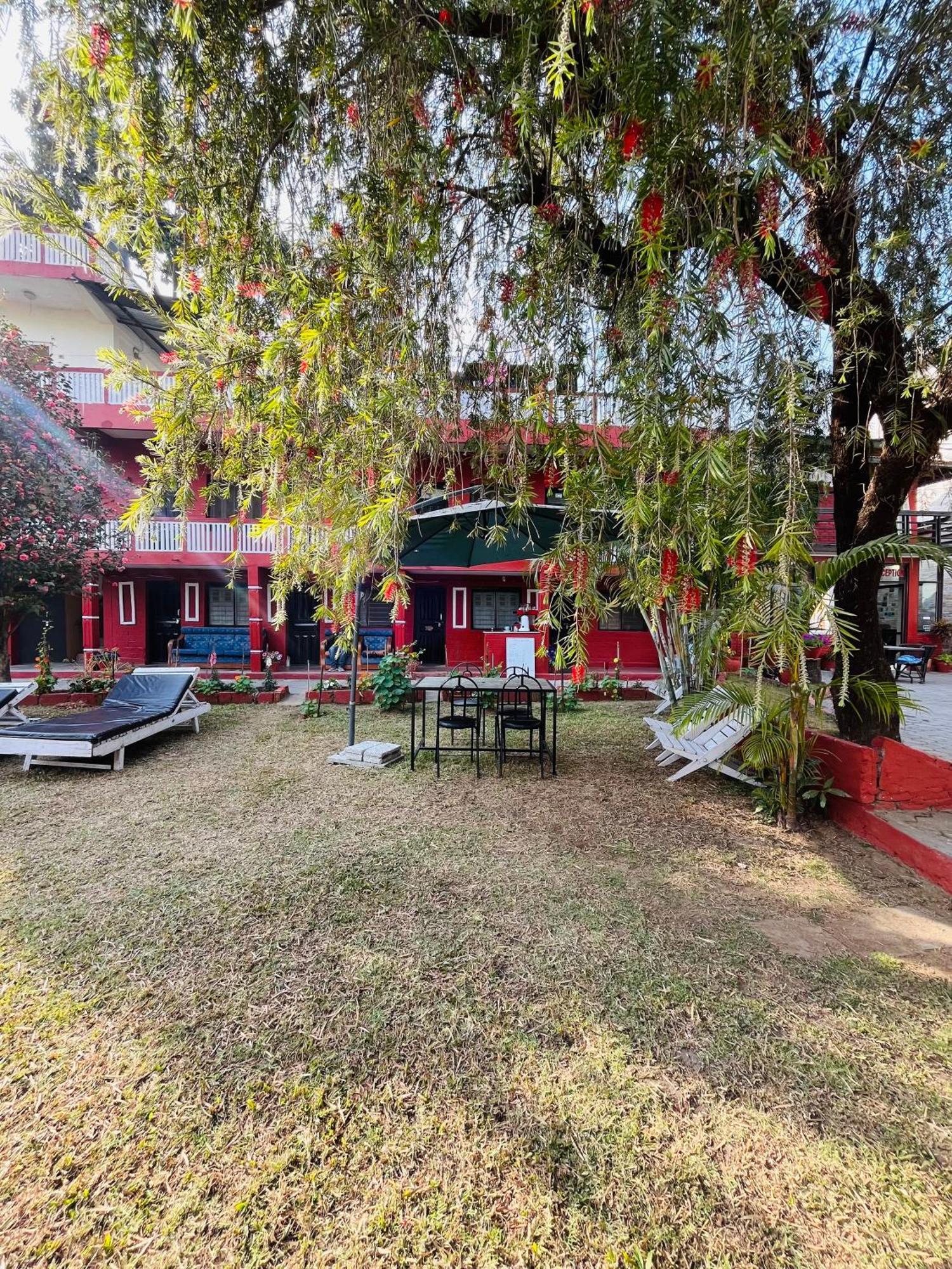 Butterfly Lodge Pokhara Luaran gambar