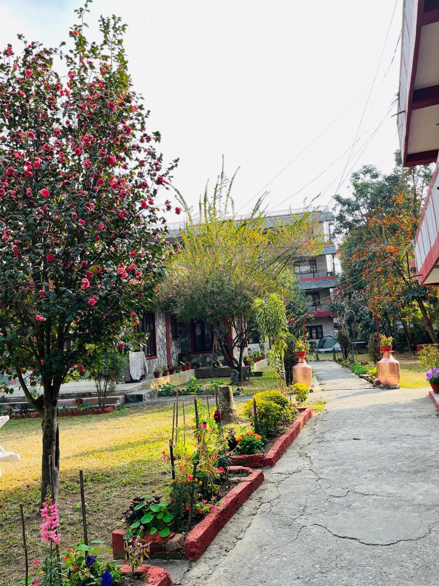 Butterfly Lodge Pokhara Luaran gambar